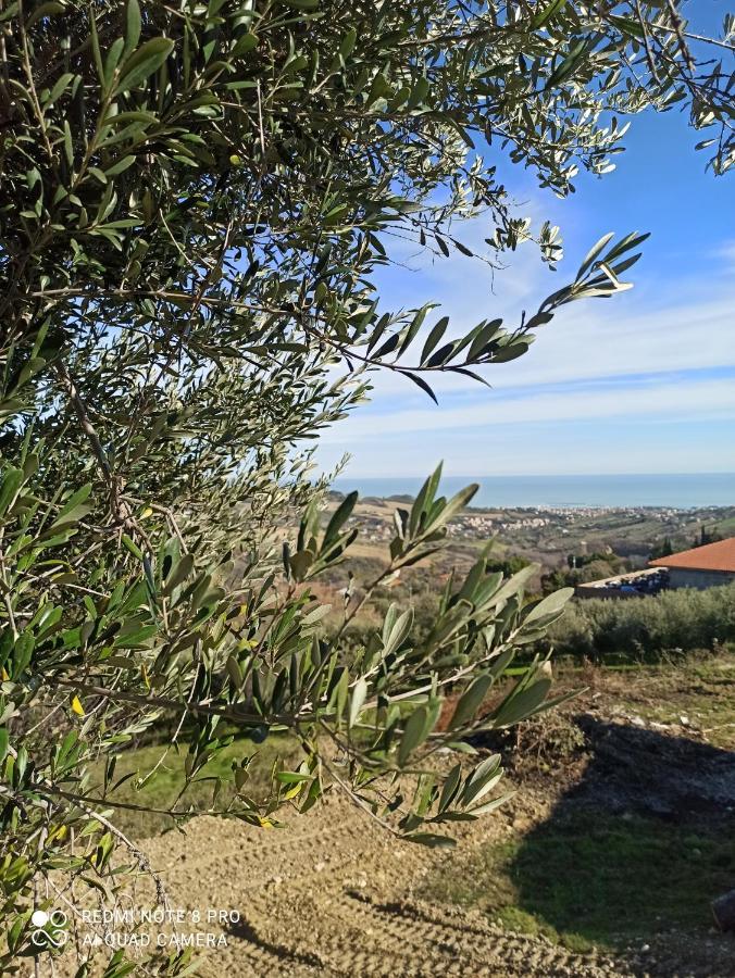 Casolare Azzurro Affittacamere Acquaviva Picena Esterno foto